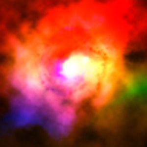 Meet your Posher, Dizzi.nova.